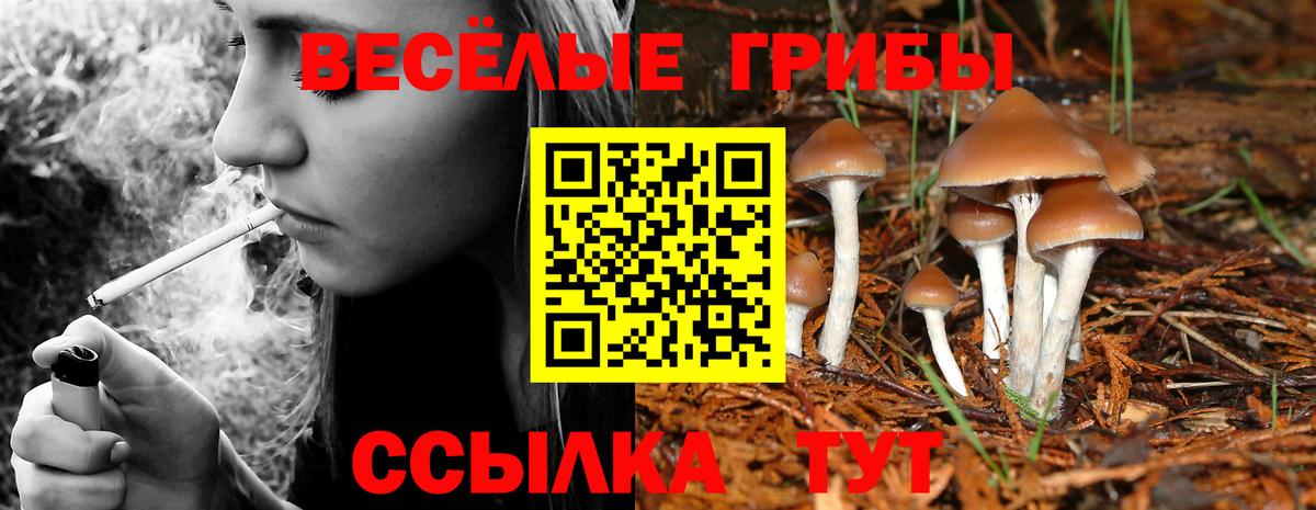 Псилоцибиновые грибы Magic Shrooms  Вход с VPN  Будённовск 